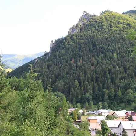 Drevenica Desina Terchova