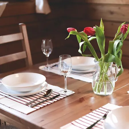 Lodge Drevenica Desina *