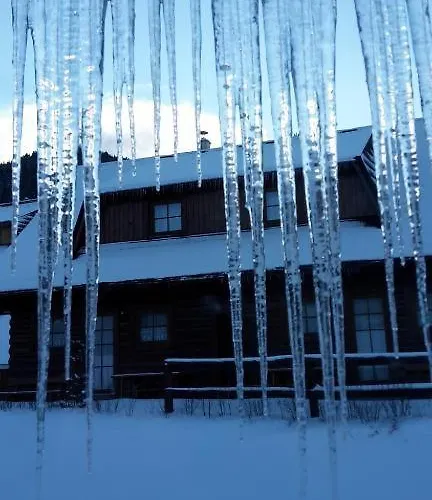 Drevenica Desina * Tierchowa