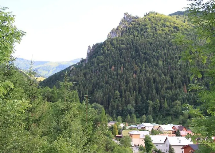 Drevenica Desina Tierchowa