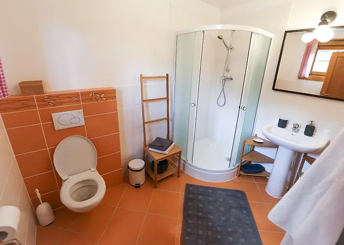 Domek letniskowy Drevenica Desina *