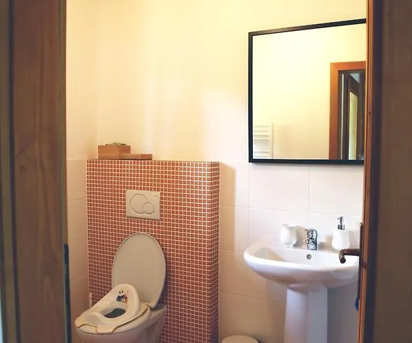 Domek letniskowy Drevenica Desina *